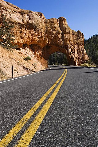 Red Canyon in Dixie National Forest, Utah, United States of America, North America