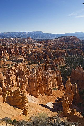 Bryce Canyon National Park, Utah, United States of America, North America