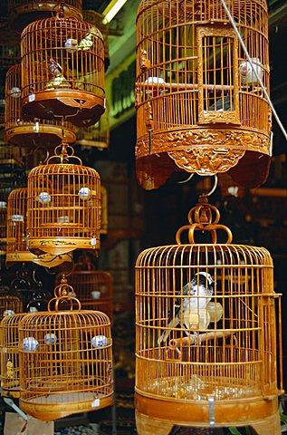 The Bird Market, Hong Lok Street, Mongkok, Kowloon, Hong Kong, China