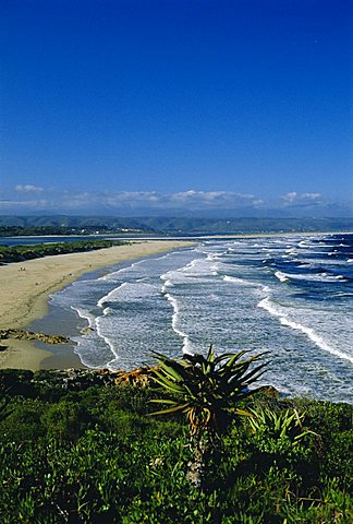 Plettenberg Bay, Cape Province, South Africa