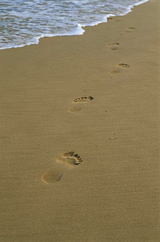 Footprints in the sand on a beach and water's edge