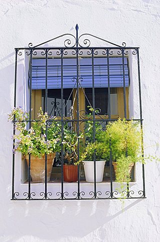 Window and flower pots, Mijas, Andalucia (Andalusia),Spain, Europe