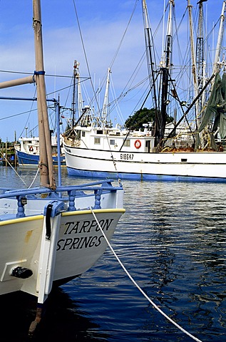 Sponge Docks and boats, Tarpon Springs, known for its Greek sponge diving community who settled here in the early 1900s, Florida, United States of America, North America