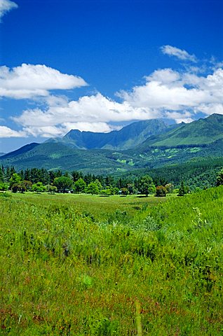 Outeniqua Mountains, Garden Route, South Africa