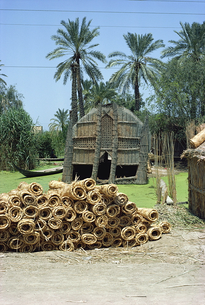 Mudhif' meeting house and reed mats ready for sale, Chobaish Marshes, Iraq, Middle East