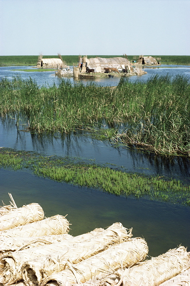 Reed mats ready for sale, village near Qurna, Iraq, Middle East