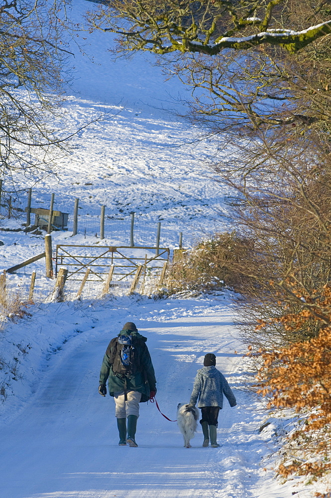 A man and boy with a dog walk along a snowy lane, Newbridge-on-Wye, Powys, Wales, United Kingdom, Europe