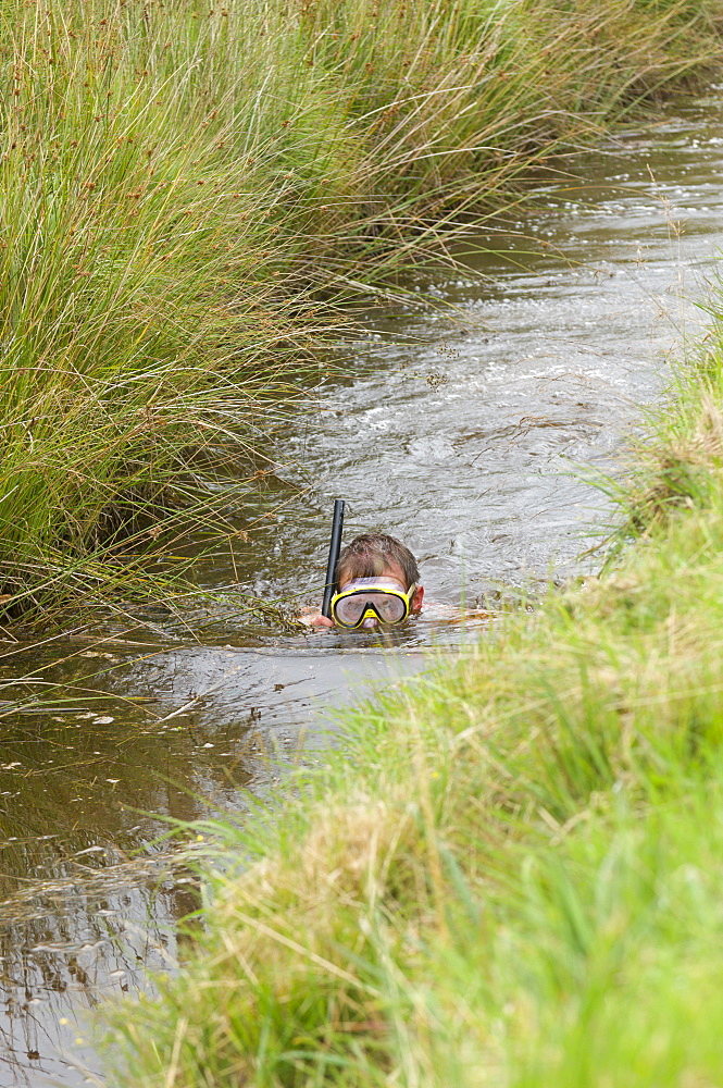 World Bogsnorkelling Championships, conceived in 1985 by Gordon Green, take place at Waen Rhydd Bog in the Cambrian Mountains, Powys, Wales, United Kingdom, Europe