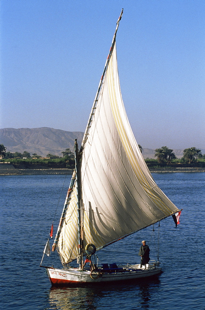 Felucca on the River Nile, Egypt, North Africa, Africa