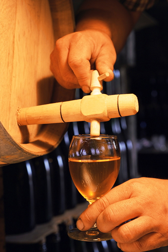 Tasting cider, cider farm, Normandy, France, Europe