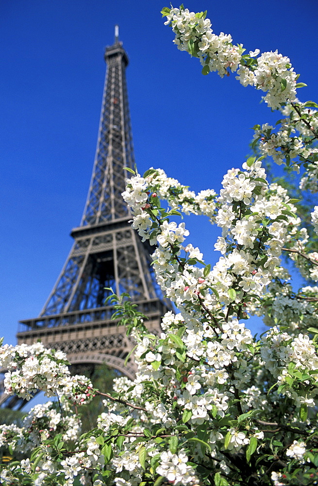 Eiffel Tower, Paris, France, Europe