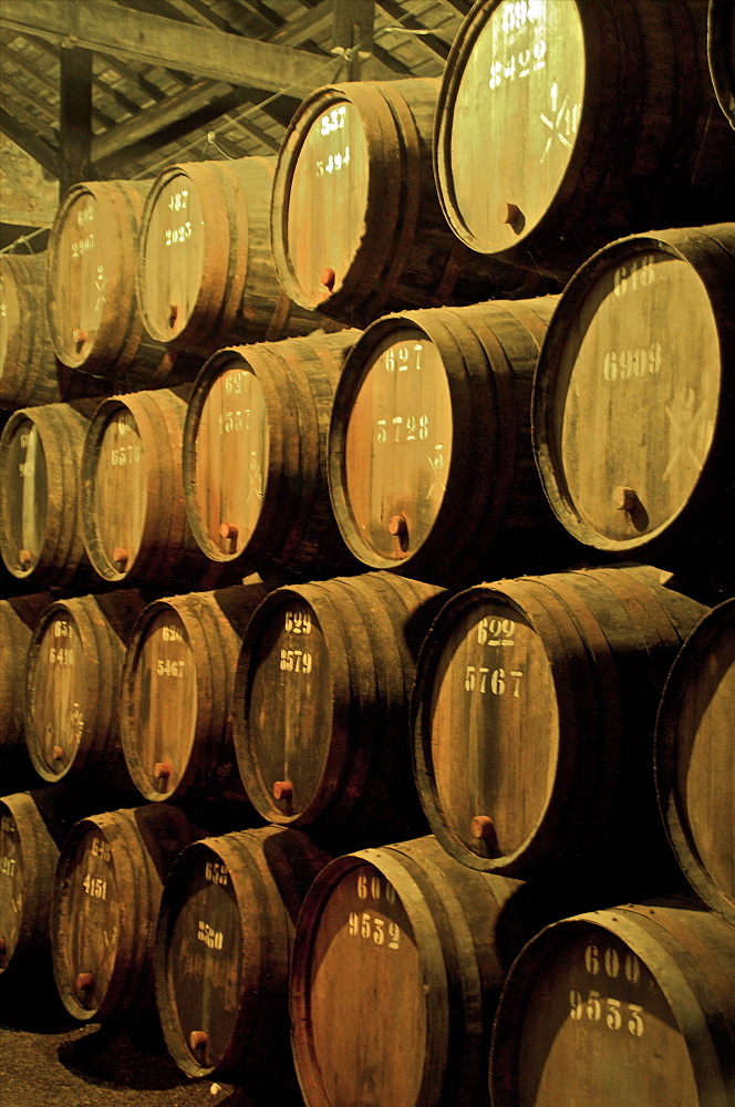 Port wine maturing in barrels in wine cellars, Vila Nova de Gaia, Porto, Portugal, Europe