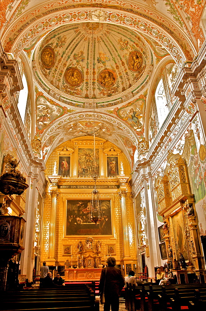 Painted ceiling vaults of the Venerables Hospital Church, Old Town, Seville, Andalucia, Spain, Europe