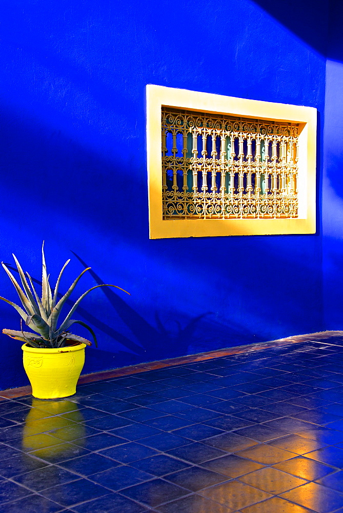 Detail of blue house and yellow plant pot in Majorelle Garden, Marrakech, Morocco, North Africa, Africa