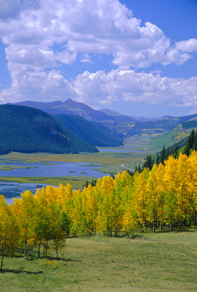 Rio Grande National Forest, Colorado, USA