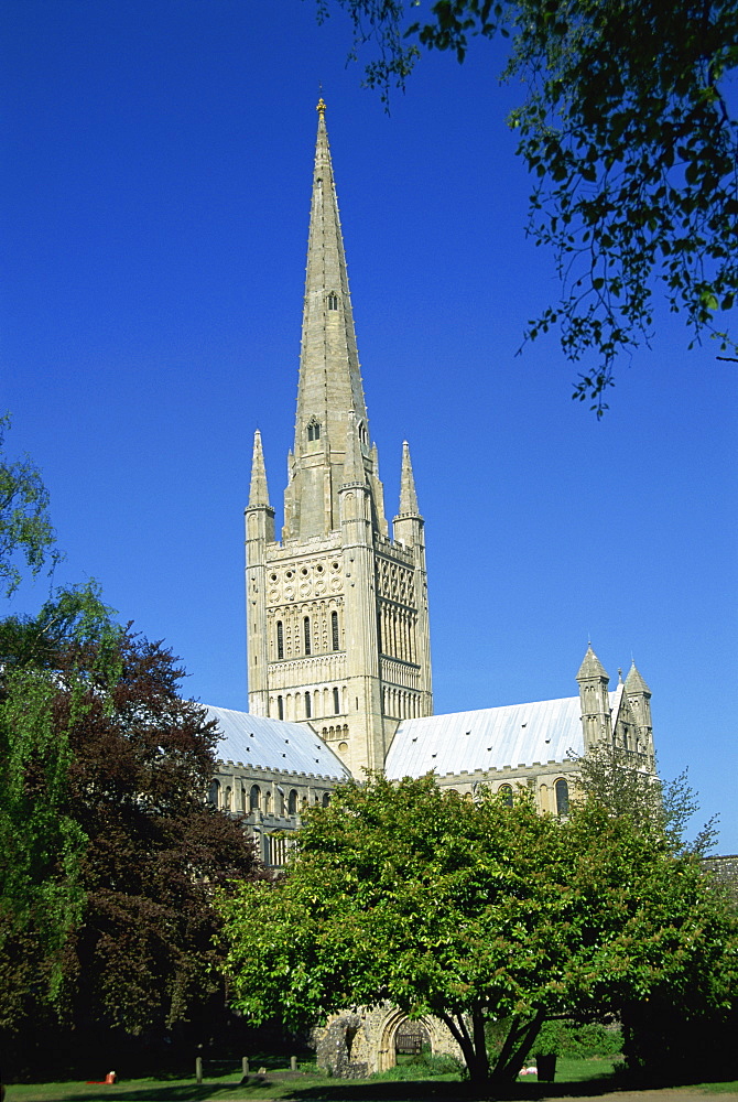 Cathedral spire, Norwich, Norfolk, England, United Kingdom, Europe