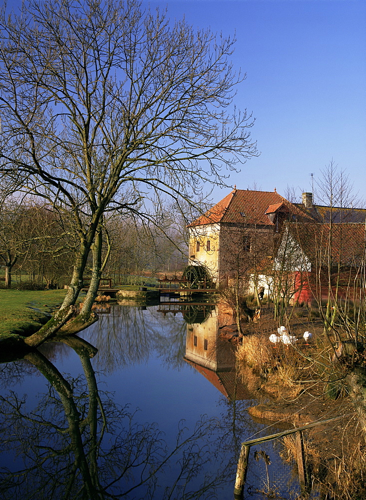 Crequoise Valley near Montreuil, Nord Pas de Calais, France, Europe