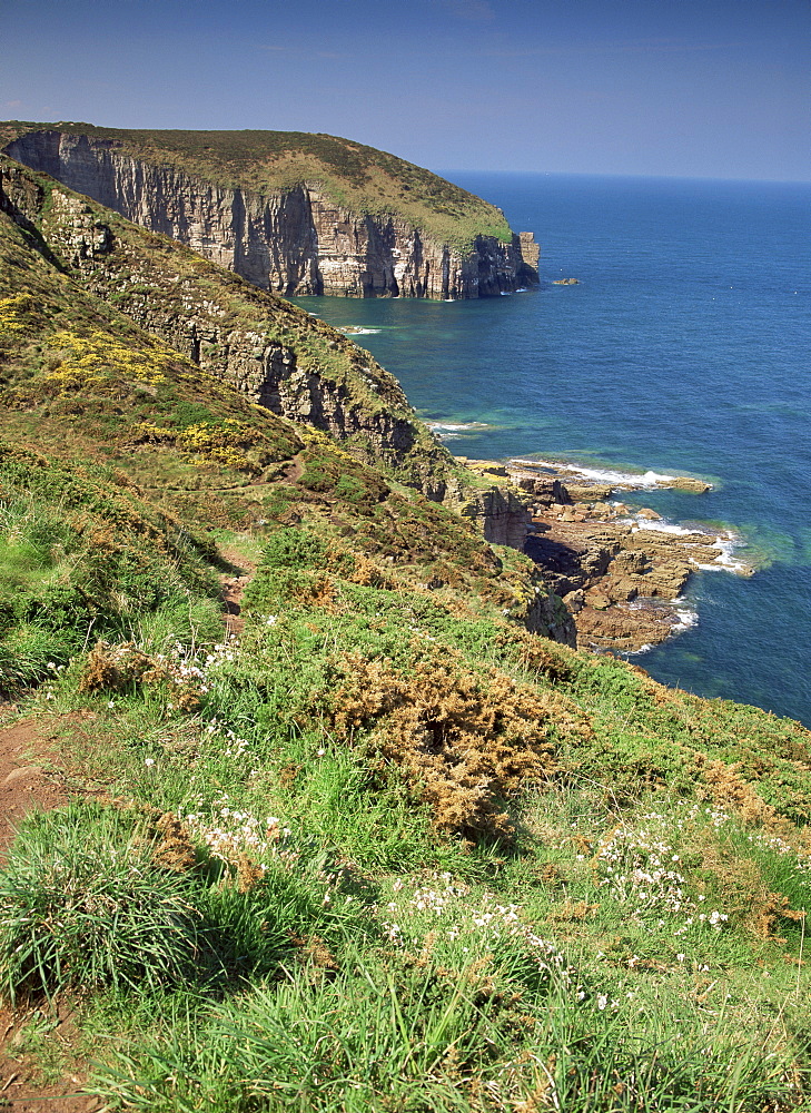 Cap Frehel, Cote d'Emeraude, Cotes d'Armor, Brittany, France, Europe