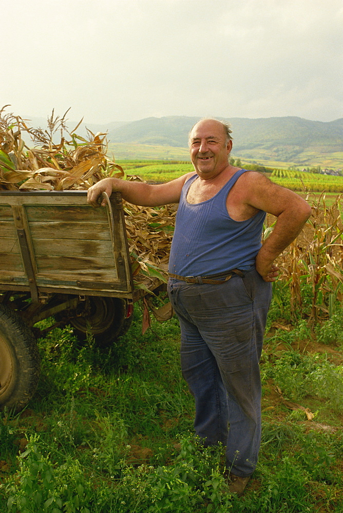 Portrait of a French farmer in a blue vest, smiling and looking at the camera, with a cart of maize near Colmar, Haut-Rhin, France, Europe