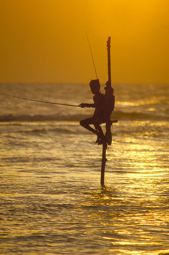 Stilt fisherman (pole fisherman), Sri Lanka, Asia