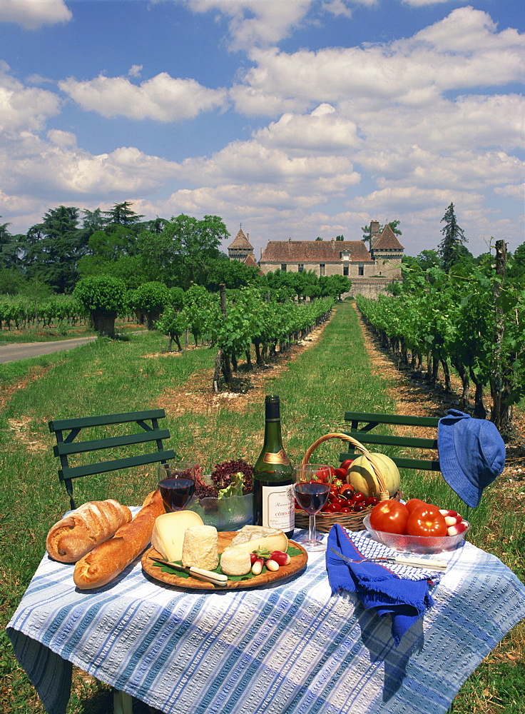 Table set with a picnic lunch in a vineyard in Aquitaine, France, Europe