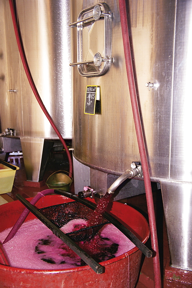 Racking grape juice into fermentation tanks, Chateau Crozet Bages, Pauillac, Gironde, France, Europe