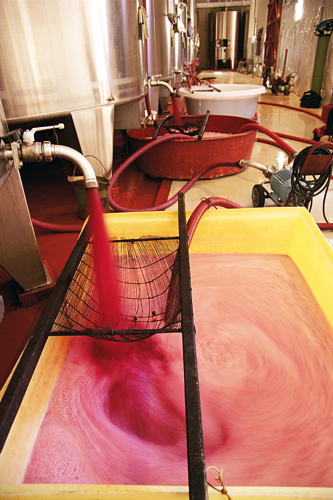 Grape juice being poured into fermentation tanks, Chateau Crozet Bages, Pauillac, Gironde, France, Europe