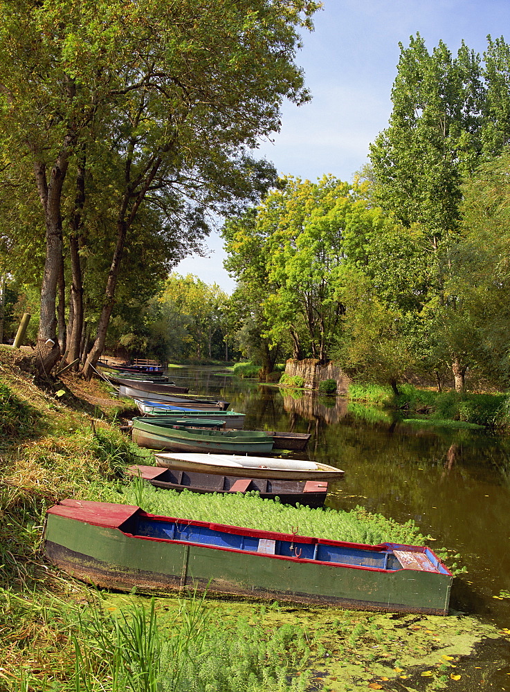 Tranquil scene of boats moored on the banks at Pont St. Martin, Loire Atlantique, Pays de la Loire, France, Europe