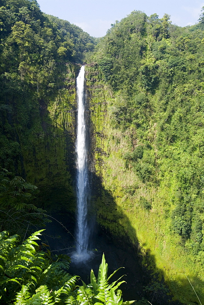 Akaka Falls, the Island of Hawaii (Big Island), Hawaii, United States of America, North America