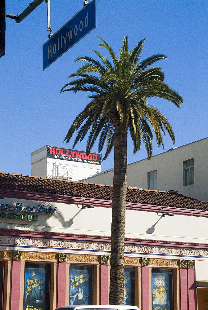 Hollywood Boulevard, Hollywood, Los Angeles, California, United States of America, North America