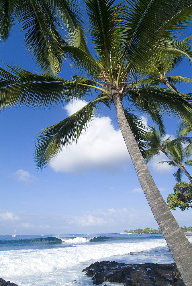 Beach at Kailua-Kona, Island of Hawaii (Big Island), Hawaii, United States of America, Pacific, North America