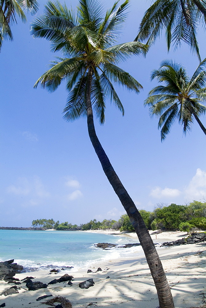 Kona State Beach, Island of Hawaii (Big Island), Hawaii, United States of America, Pacific, North America