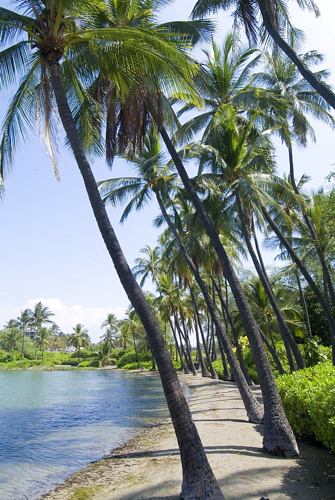 Waikaloa Beach, Island of Hawaii (Big Island), Hawaii, United States of America, Pacific, North America