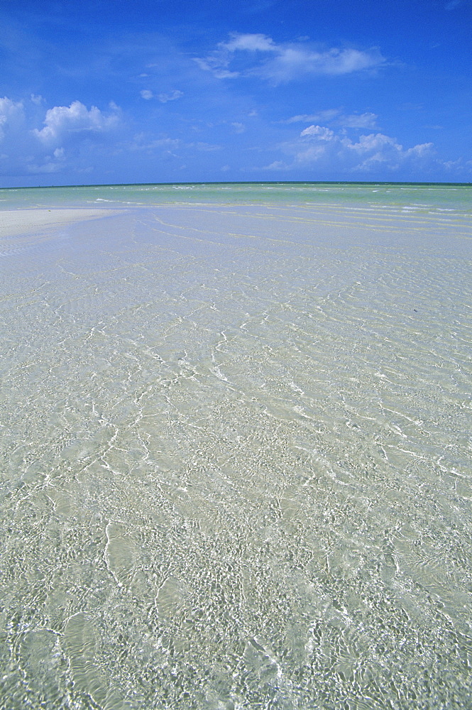 Beach, Andros, Bahamas, Central America