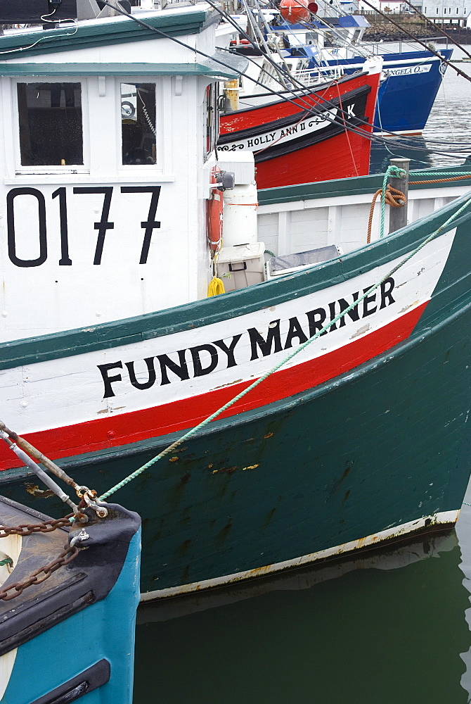 Part of the scallop fishing fleet, Digby, Nova Scotia, Canada, North America