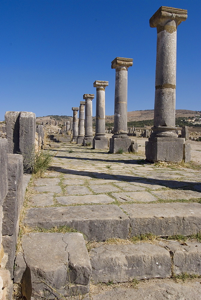 Decumanus Maximus (main east west road), Roman site of Volubilis, UNESCO World Heritage Site, Morocco, North Africa, Africa