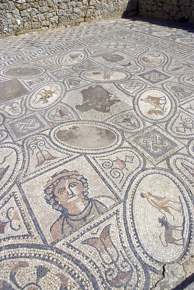 Mosaic from Labour of Hercules House, Volubilis, UNESCO World Heritage Site, Morocco, North Africa, Africa