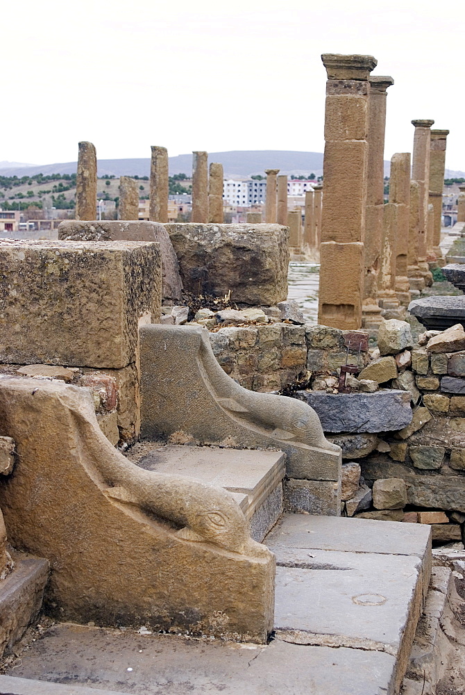 Latrine, Roman site of Timgad, UNESCO World Heritage Site, Algeria, North Africa, Africa