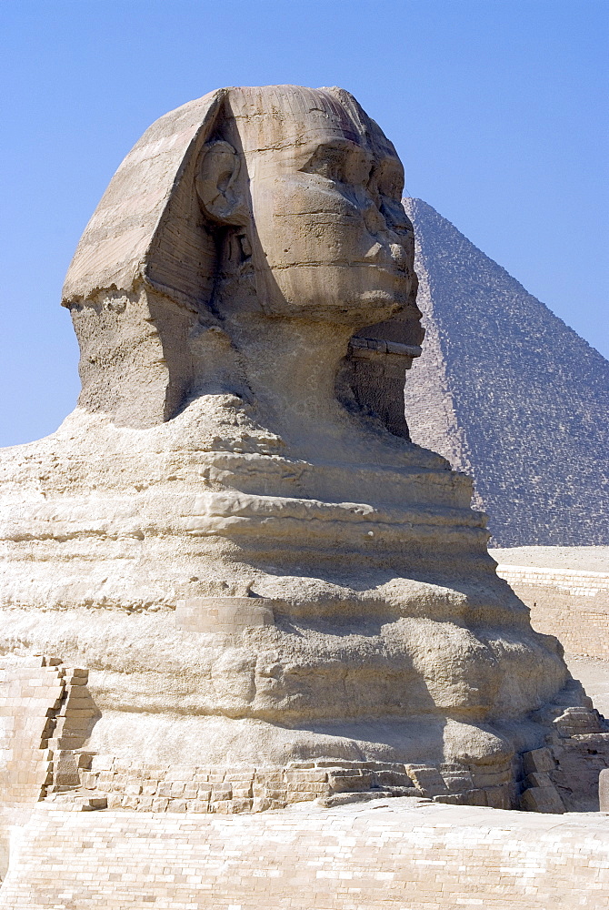 The Sphinx at the Pyramids, Giza, UNESCO World Heritage Site, near Cairo, Egypt, North Africa, Africa