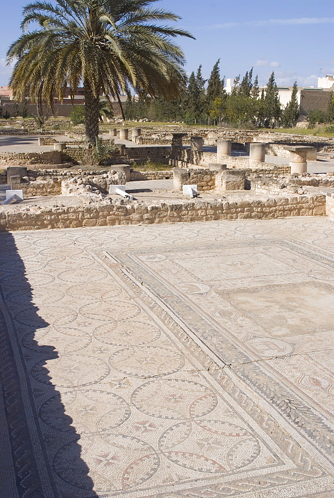 Remains of the House of Africa Roman villa, Museum, El Djem, Tunisia, North Africa, Africa