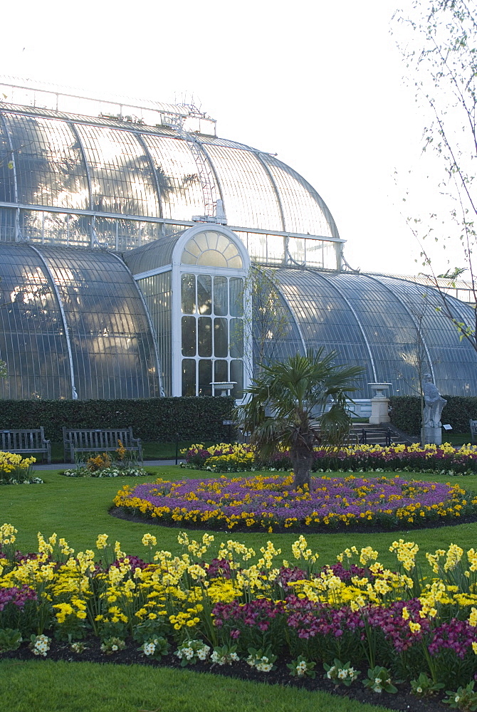 Palm House, Royal Botanic Gardens (Kew Gardens), UNESCO World Heritage Site, Kew, Greater London, England, United Kingdom, Europe