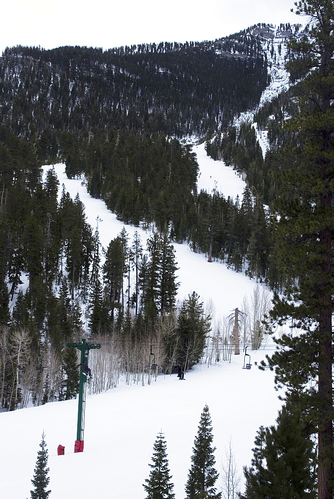 Ski resort, Mount Charleston, near Las Vegas, Nevada, United States of America, North America