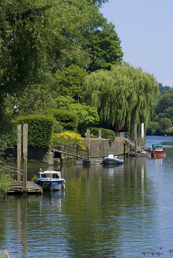 Thames River view near York House, Richmond, Surrey, England, United Kingdom, Europe