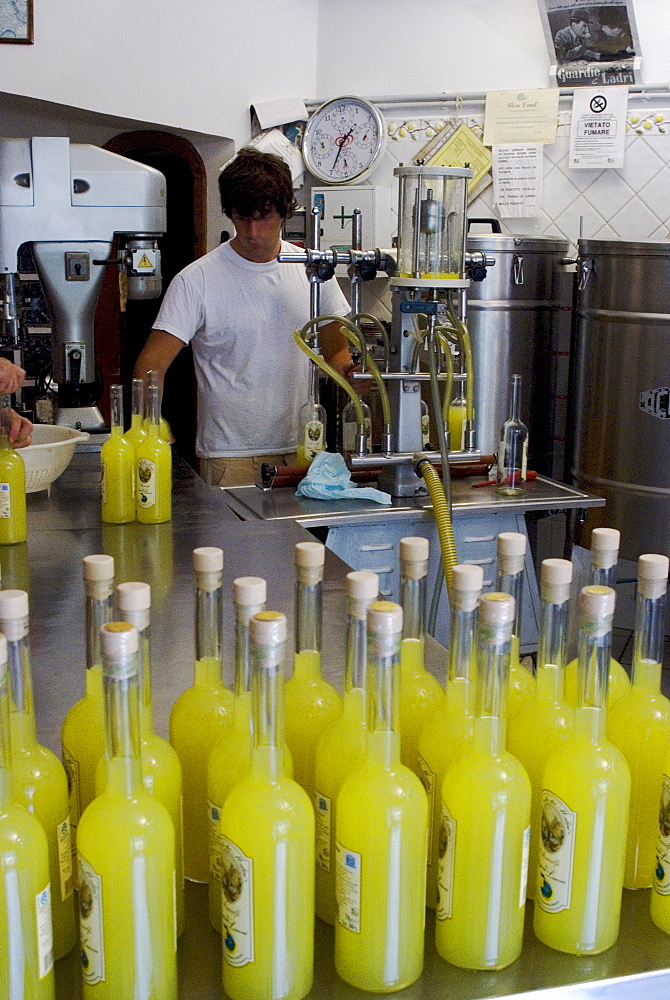 Bottling at a Limoncello (liquer) factory, Amalfi, Campania, Italy, Europe