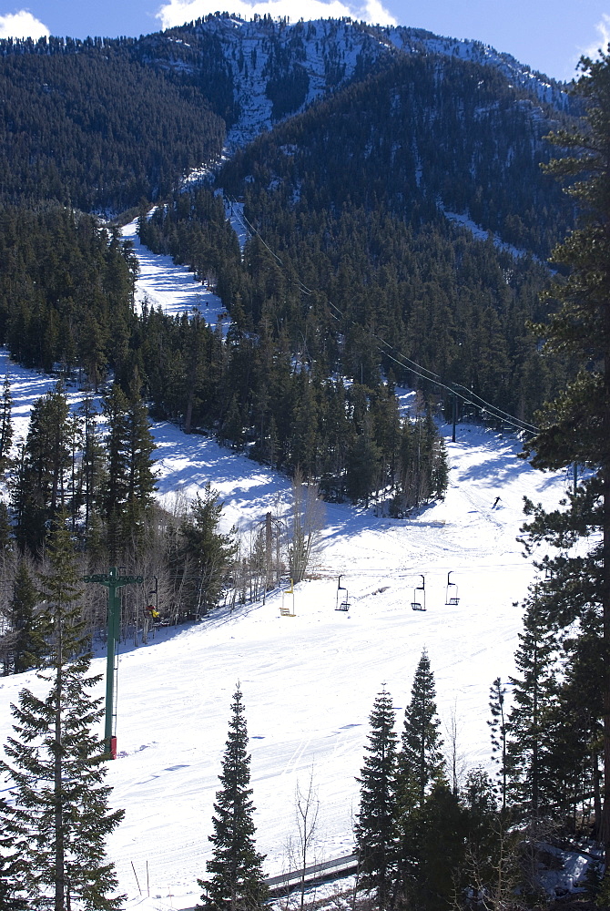 Las Vegas Ski and Snowboard Resort, Mount Charleston, near Las Vegas, Nevada, United States of America, North America