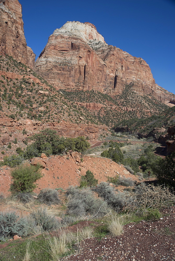 Zion Canyon National Park, Utah, United States of America, North America