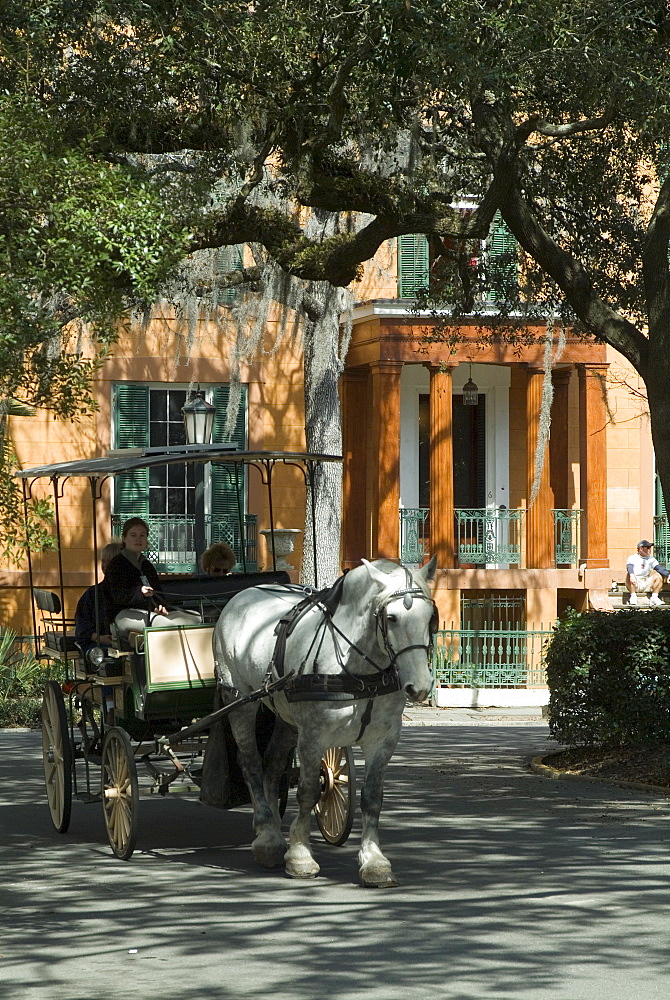 Savannah, Georgia, United States of America, North America