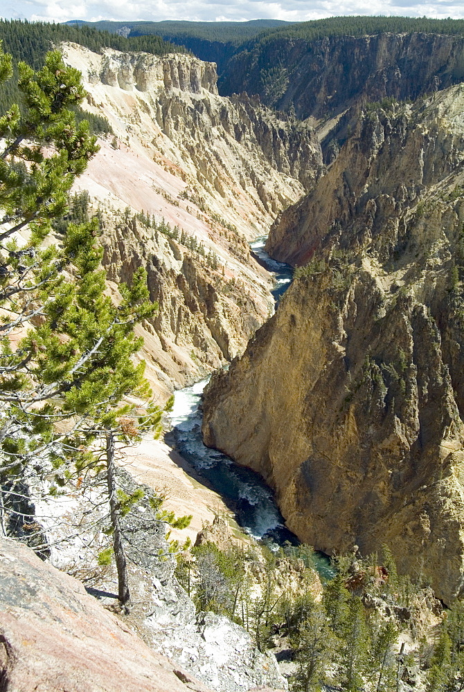 Yellowstone Canyon, Yellowstone National Park, UNESCO World Heritage Site, Wyoming, United States of America, North America