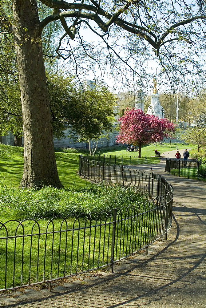 St. James's Park, London, England, United Kingdom, Europe