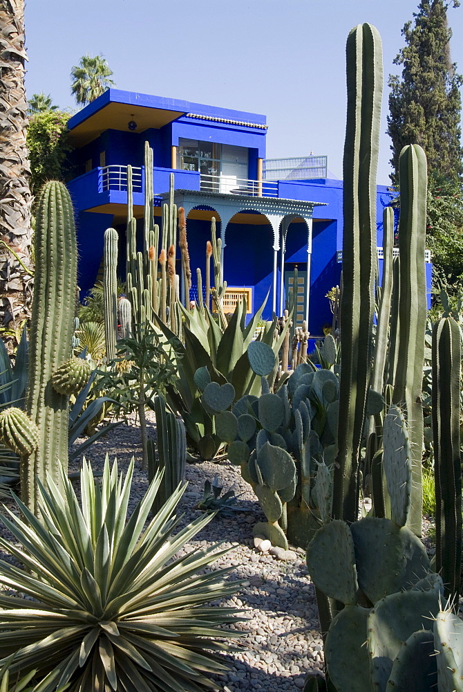 Jardin Majorelle, Marrakech, Morocco, North Africa, Africa